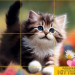 Pisicuțe glisante puzzle