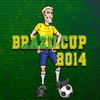 Cupa Braziliei 2014